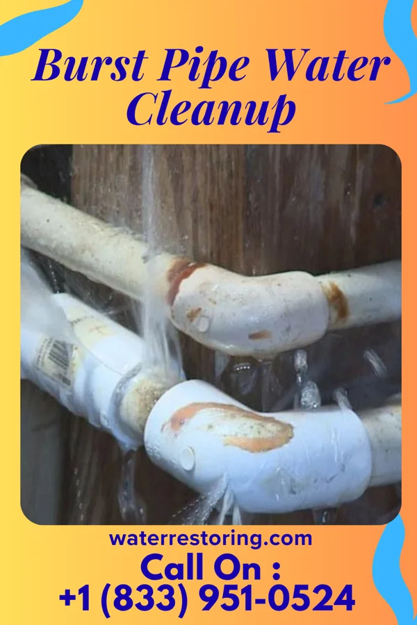 Burst Pipe Water Cleanup in Norman, NC