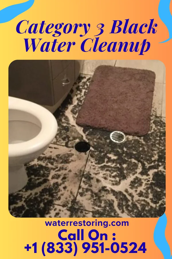 Category 3 Black Water Cleanup in Norman, NC