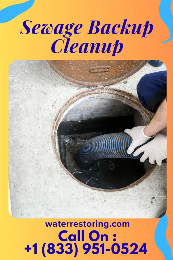 Sewage Backup Cleanup in Norman, NC